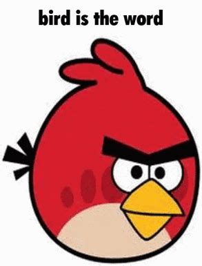 wordon angry birds.